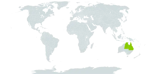 Acacia plectocarpa subsp. tanumbirinensis world distribution map, present in Australia