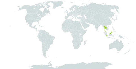 Acacia pseudo-intsia world distribution map, present in Indonesia, Malaysia, Singapore, and Thailand