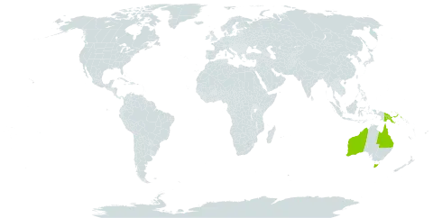 Acacia pubirhachis world distribution map, present in Australia, Sri Lanka, and Papua New Guinea