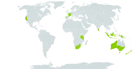 Acacia pycnantha world distribution map, present in Australia, France, Indonesia, India, Italy, New Zealand, Portugal, Tanzania, United Republic of, United States of America, and South Africa