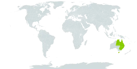 Acacia pycnostachya world distribution map, present in Australia