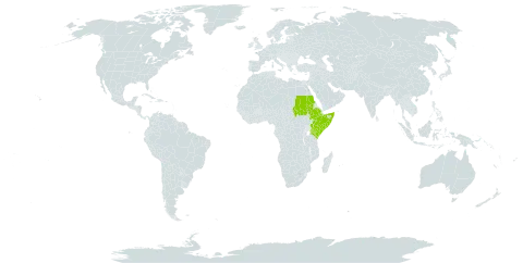 Acacia reficiens subsp. misera world distribution map, present in Ethiopia, Kenya, Sudan, Somalia, and Uganda