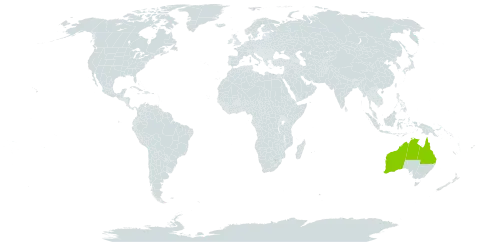 Acacia spondylophylla world distribution map, present in Australia