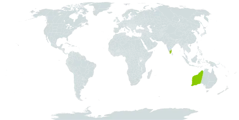 Acacia truncata world distribution map, present in Australia and India