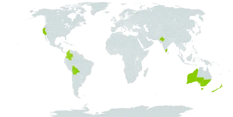 Acacia verticillata (l'hér.) world distribution map, present in Australia, Bolivia (Plurinational State of), Colombia, India, New Zealand, and United States of America