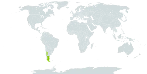 Acaena caespitosa world distribution map, present in Argentina and Chile