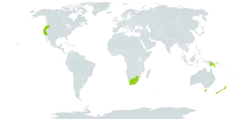 Acaena world distribution map, present in Australia, Sri Lanka, New Zealand, Papua New Guinea, United States of America, and South Africa