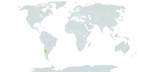 Acaena splendens world distribution map, present in Argentina and Chile