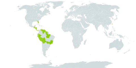 Acalypha arvensis world distribution map, present in Belize, Bolivia (Plurinational State of), Brazil, Costa Rica, Ecuador, Guatemala, Guyana, Honduras, Nicaragua, Panama, Peru, Suriname, Taiwan, Province of China, United States of America, and Venezuela (Bolivarian Republic of)