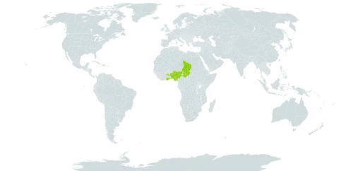 Acalypha ceraceopunctata world distribution map, present in Benin, Ghana, Nigeria, and Chad