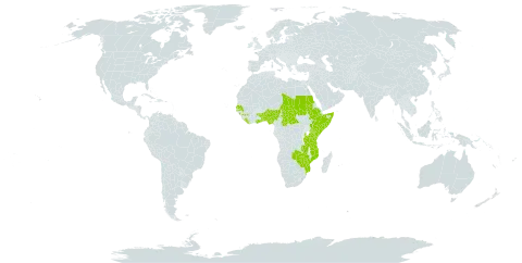 Acalypha crenata world distribution map, present in Benin, Burkina Faso, Central African Republic, Ethiopia, Ghana, Guinea, Kenya, Liberia, Mozambique, Nigeria, Sudan, Senegal, Somalia, Chad, Togo, Tanzania, United Republic of, Uganda, Zambia, and Zimbabwe