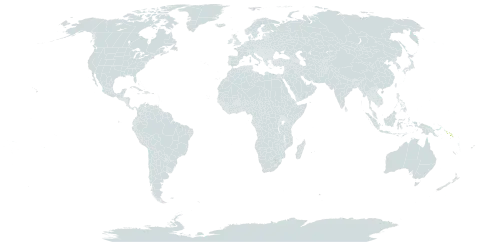 Acalypha crockeri world distribution map, present in Solomon Islands