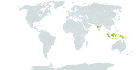 Acalypha dalzellii world distribution map, present in Indonesia and India