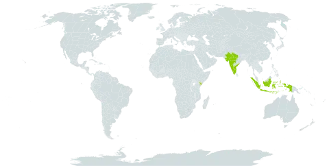 Acalypha malabarica world distribution map, present in Indonesia, India, and Kenya