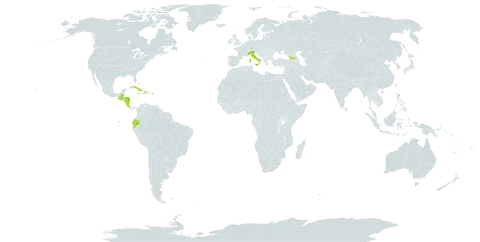 Acalypha persimilis world distribution map, present in Åland Islands, Bahamas, Belize, Costa Rica, Cuba, Dominica, Ecuador, Georgia, Guatemala, Honduras, Haiti, Italy, Jamaica, Nicaragua, and Puerto Rico