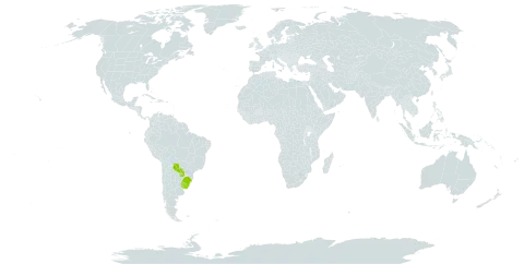 Acalypha senilis world distribution map, present in Brazil, Paraguay, and Uruguay