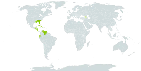 Acalypha setosa world distribution map, present in Åland Islands, Bahamas, Belize, Costa Rica, Cuba, Dominica, Ecuador, Georgia, Guatemala, Honduras, Haiti, Nicaragua, Puerto Rico, United States of America, and Venezuela (Bolivarian Republic of)