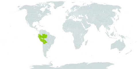 Acalypha stachyura world distribution map, present in Bolivia (Plurinational State of), Brazil, Ecuador, and Peru