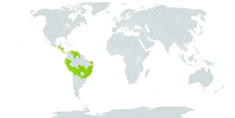 Acalypha villosa world distribution map, present in Belize, Bolivia (Plurinational State of), Brazil, Costa Rica, Ecuador, Guatemala, Guyana, Honduras, Jamaica, Nicaragua, Panama, Peru, Paraguay, and Venezuela (Bolivarian Republic of)