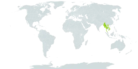 Acampe joiceyana world distribution map, present in Myanmar, Thailand, and Viet Nam