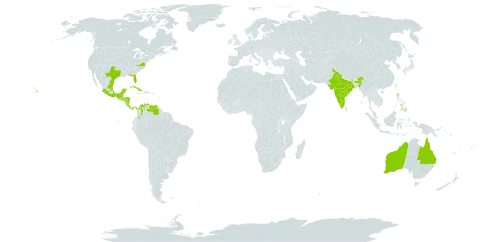 Acanthocereus tetragonus world distribution map, present in Australia, Barbados, Colombia, Costa Rica, Cuba, Dominica, Guadeloupe, Grenada, Guatemala, Honduras, India, Jamaica, Saint Lucia, Mexico, Martinique, Nicaragua, Panama, Philippines, El Salvador, Trinidad and Tobago, United States of America, Saint Vincent and the Grenadines, and Venezuela (Bolivarian Republic of)