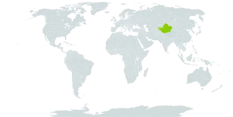 Acantholimon kaschgaricum world distribution map, present in China and Kyrgyzstan