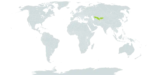 Acantholimon schachimardanicum world distribution map, present in Kyrgyzstan and Uzbekistan