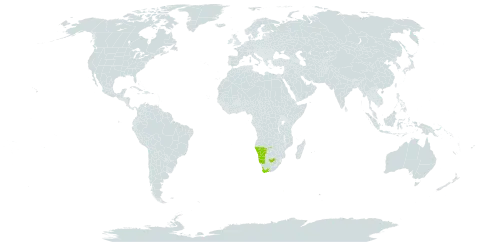 Acanthopsis disperma world distribution map, present in Namibia and South Africa