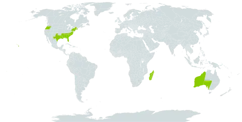 Acanthospermum world distribution map, present in American Samoa, Australia, Madagascar, and United States of America