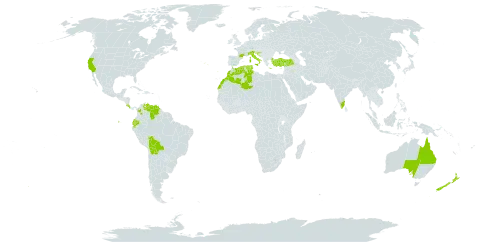 Acanthus mollis world distribution map, present in Australia, Bolivia (Plurinational State of), Colombia, Costa Rica, Algeria, Ecuador, Spain, France, Gibraltar, Greece, Croatia, India, Italy, Morocco, New Zealand, Portugal, Tunisia, Turkey, United States of America, and Venezuela (Bolivarian Republic of)