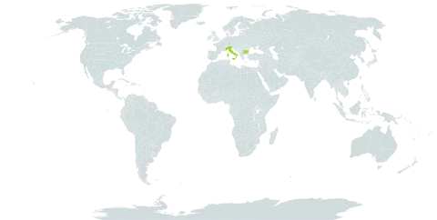 Acer campestre subsp. marsicum world distribution map, present in Bulgaria, Italy, and North Macedonia