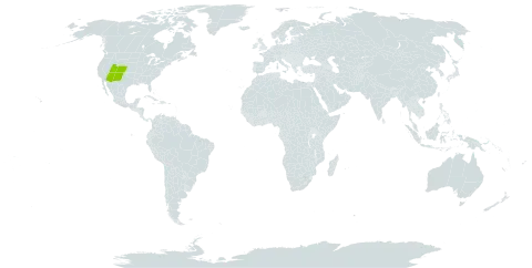 Acer glabrum var. neomexicanum world distribution map, present in United States of America