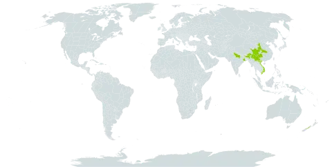 Acer laevigatum world distribution map, present in China, India, Myanmar, Nepal, New Zealand, and Viet Nam