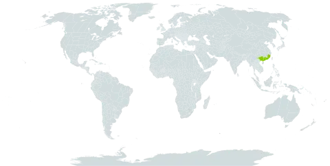 Acer lucidum world distribution map, present in China