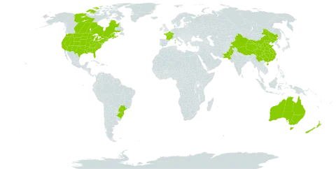 Acer negundo world distribution map, present in Australia, Brazil, Canada, China, France, New Zealand, Pakistan, and United States of America