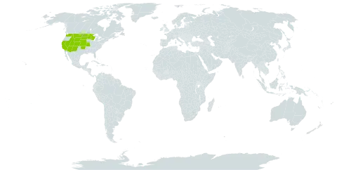 Acer negundo subsp. interius world distribution map, present in United States of America