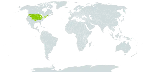 Acer negundo var. violaceum world distribution map, present in United States of America