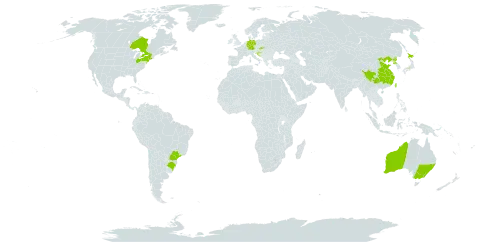 Acer palmatum world distribution map, present in Australia, Brazil, Canada, China, Germany, Croatia, Japan, Korea (Democratic People's Republic of), Slovakia, Taiwan, Province of China, and United States of America