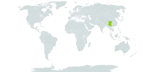 Acer pectinatum subsp. taronense world distribution map, present in Bhutan, China, and Myanmar