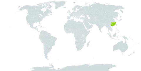 Acer tutcheri world distribution map, present in China and Taiwan, Province of China