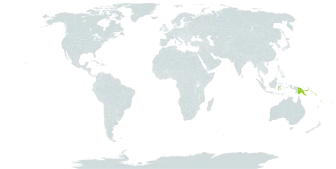 Aceratium oppositifolium world distribution map, present in Indonesia, Papua New Guinea, Solomon Islands, and Vanuatu