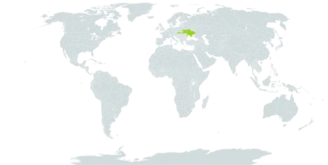 Achillea carpatica world distribution map, present in Slovakia and Ukraine