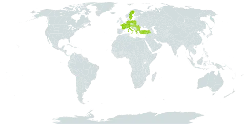 Achillea crithmifolia world distribution map, present in Albania, Austria, Bulgaria, Bosnia and Herzegovina, Switzerland, Germany, France, Greece, Croatia, Hungary, Italy, North Macedonia, Montenegro, Poland, Romania, Serbia, Slovakia, Sweden, and Turkey