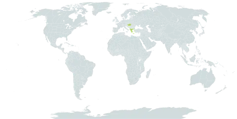 Achillea holosericea world distribution map, present in Albania, Greece, Hungary, North Macedonia, and Serbia