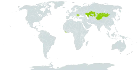 Achillea impatiens world distribution map, present in China, Kazakhstan, Liberia, Mongolia, and Romania