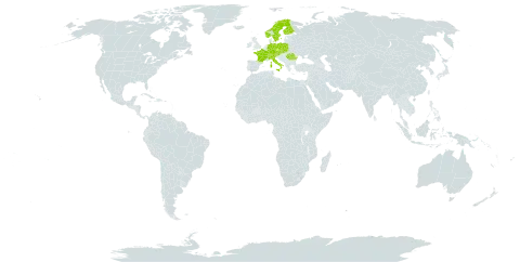 Achillea millefolium subsp. sudetica world distribution map, present in Austria, Switzerland, Czech Republic, Germany, Finland, France, Italy, Liechtenstein, Norway, Poland, Romania, Slovakia, and Sweden