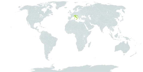 Achillea virescens subsp. virescens world distribution map, present in Bosnia and Herzegovina, Croatia, Italy, Montenegro, and Slovenia