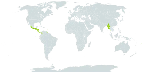 Achimenes longiflora world distribution map, present in Colombia, Costa Rica, Dominica, Fiji, Guadeloupe, Guatemala, Honduras, Jamaica, Mexico, Myanmar, Martinique, Mauritius, Nicaragua, Panama, El Salvador, Trinidad and Tobago, and Venezuela (Bolivarian Republic of)