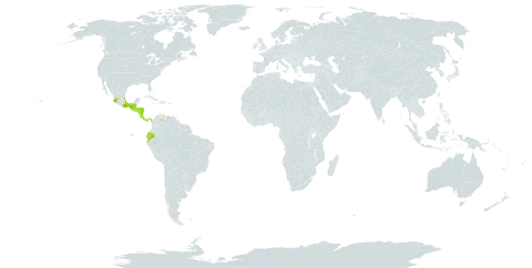 Achimenes pedunculata world distribution map, present in Costa Rica, Ecuador, Guatemala, Honduras, Mexico, Nicaragua, Panama, El Salvador, and Venezuela (Bolivarian Republic of)