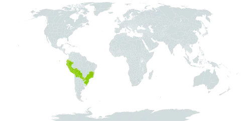 Acianthera aphthosa world distribution map, present in Bolivia (Plurinational State of), Brazil, Ecuador, Peru, and Paraguay